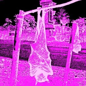 Meet your Posher, Robyn